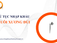 Thủ tục nhập khẩu chuôi xương đùi và đăng ký lưu hành thiết bị y tế cấy ghép loại C D