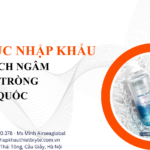 nhập khẩu dung dịch ngâm lens từ Hàn Quốc