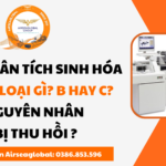 Như Quỳnh (2)