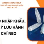 VÍT CHỈ NEO