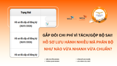 Ms Diệu Airseaglobal_Tel (Zalo) 0965391343_Thu tuc nhap khau y te