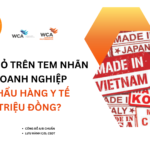 Ms Diệu Airseaglobal_Tel (Zalo) 0965391343_Thu tuc nhap khau y te (4)