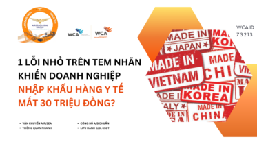 Ms Diệu Airseaglobal_Tel (Zalo) 0965391343_Thu tuc nhap khau y te (4)