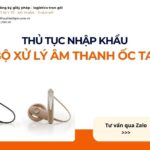 THỦ TỤC NHẬP KHẨU BỘ XỬ LÝ ÂM THANH ỐC TAI MỚI NHẤT 2026
