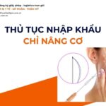 THỦ TỤC NHẬP KHẨU CHỈ NÂNG CƠ MỚI NHẤT 2026