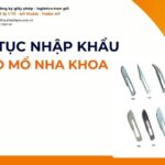 THỦ TỤC NHẬP KHẨU DAO MỔ NHA KHOA MỚI NHẤT 2026