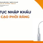 THỦ TỤC NHẬP KHẨU ĐẦU CẠO PHÔI RĂNG MỚI NHẤT 2026