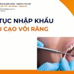 THỦ TỤC NHẬP KHẨU ĐẦU CẠO VÔI RĂNG MỚI NHẤT 2026