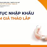 THỦ TỤC NHẬP KHẨU HÀM GIẢ THÁO LẮP MỚI NHẤT 2026
