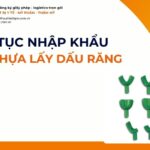 THỦ TỤC NHẬP KHẨU KHAY NHỰA LẤY DẤU RĂNG MỚI NHẤT 2026