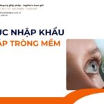 THỦ TỤC NHẬP KHẨU KÍNH ÁP TRÒNG MỀM MỚI NHẤT 2026