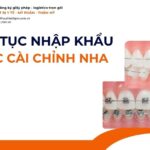 THỦ TỤC NHẬP KHẨU MẮC CÀI CHỈNH NHA MỚI NHẤT 2026