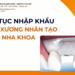 THỦ TỤC NHẬP KHẨU MÀNG XƯƠNG NHÂN TẠO NHA KHOA MỚI NHẤT 2026