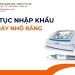 THỦ TỤC NHẬP KHẨU MÁY NHỔ RĂNG MỚI NHẤT 2026