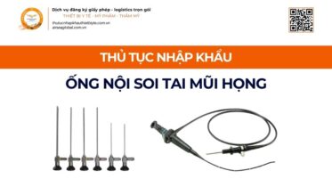 THỦ TỤC NHẬP KHẨU ỐNG NỘI SOI TAI MŨI HỌNG MỚI NHẤT 2026