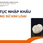 THỦ TỤC NHẬP KHẨU RĂNG SỨ KIM LOẠI MỚI NHẤT 2026