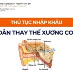 THỦ TỤC NHẬP KHẨU TRỤ DẪN THAY THẾ XƯƠNG CON MỚI NHẤT 2026