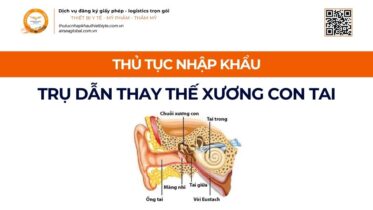 THỦ TỤC NHẬP KHẨU TRỤ DẪN THAY THẾ XƯƠNG CON MỚI NHẤT 2026