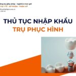 THỦ TỤC NHẬP KHẨU TRỤ PHỤC HÌNH MỚI NHẤT 2026