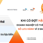 Ms Diệu Airseaglobal_Tel (Zalo) 0965391343_Thu tuc nhap khau y te (1)