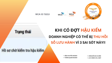 Ms Diệu Airseaglobal_Tel (Zalo) 0965391343_Thu tuc nhap khau y te (1)