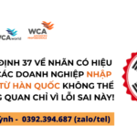 Như Quỳnh (3)
