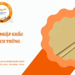 THỦ TỤC NHẬP KHẨU KIM TÁCH TRỨNG