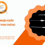 THỦ TỤC NHẬP KHẨU KIM TIÊM TINH TRÙNG