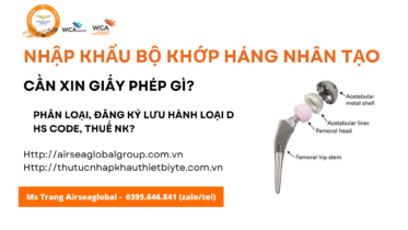 Nhập khẩu bộ khớp háng nhân tạo cần xin giấy phép gì? (mới nhất)