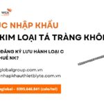 thu tuc nhap khau Stent kim loại ta trang khong phu moi nhat nam nay