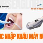 THỦ TỤC NHẬP KHẨU MÁY NỘI NHA