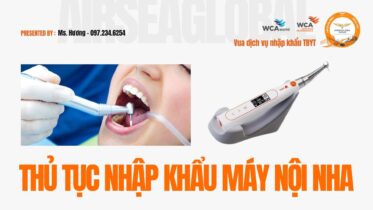 THỦ TỤC NHẬP KHẨU MÁY NỘI NHA