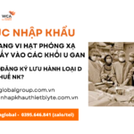 Thủ tục nhập khẩu thiết bị mang vi hạt phóng xạ dùng để cấy vào các khối u gan