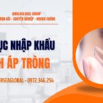 Thủ tục nhập khẩu kính áp tròng (contact lens) mới nhất 2026