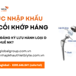 thủ tục nhập khẩu lót ổ cối khớp háng mới nhất năm nay
