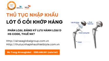 thủ tục nhập khẩu lót ổ cối khớp háng mới nhất năm nay