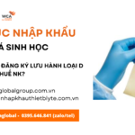 thủ tục nhập khẩu miếng vá sinh học mới nhất năm nay