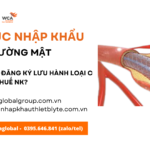 thủ tục nhập khẩu stent đường mật mới nhất năm nay