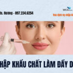 thu-tuc-nhap-khau-chat-lam-day-da-filler