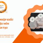 thu tuc nhap khau tui hau mon nhan tao