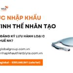 thu tuc nhap khau thuy tinh the nhan tao moi nhat nam nay