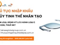 thu tuc nhap khau thuy tinh the nhan tao moi nhat nam nay