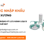 thu tuc nhap khau xi măng xương moi nhat nam nay