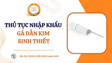 THỦ TỤC NHẬP KHẨU GÁ DẪN KIM SINH THIẾT