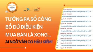 Ms Dieu Airseaglobal_Tel (Zalo) 0867192712_Thu tuc nhap khau y te (2)