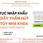 thu tuc nhap khau Absorbent Paper Points