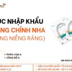 thu tuc nhap khau day cung chinh nha