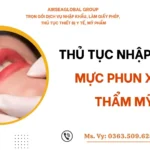 THỦ TỤC NHẬP KHẨU MỰC PHUN XĂM THẨM MỸ