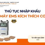 THỦ TỤC NHẬP KHẨU MÁY EMS KÍCH THÍCH CƠ CHÍNH NGẠCH VỀ VIỆT NAM