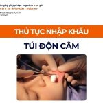 THỦ TỤC NHẬP KHẨU TÚI ĐỘN CẰM CHÍNH NGẠCH VỀ VIỆT NAM